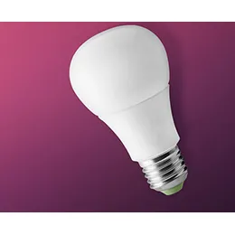 LED BULBS