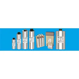 BASIC DUTY CAPACITORS