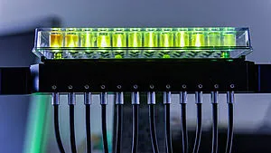 Light Transmission with Fiber Optics