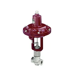 Valves Series Process Valves