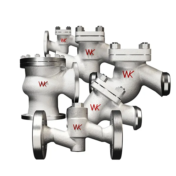 Check Valves