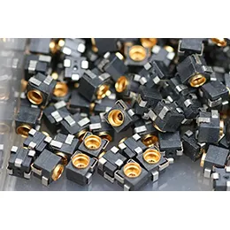 Insert Injection Molding