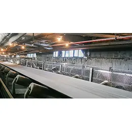 CONVEYOR STRUCTURE
