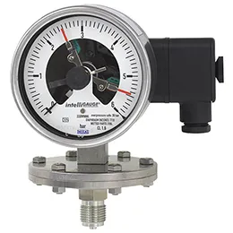 Diaphragm pressure gauge