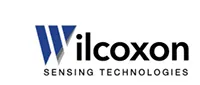 Wilcoxon Sensing Technologies