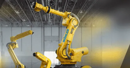 ROBOTICS AND 3D IMAGE PROCESSING