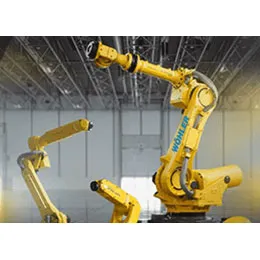 ROBOTICS AND 3D IMAGE PROCESSING