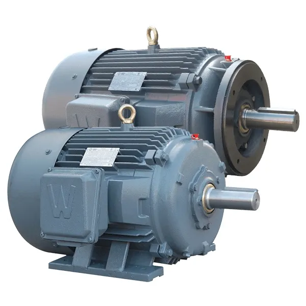 Premium Efficiency Severe Duty motors