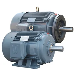Premium Efficiency Severe Duty motors