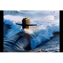 Marine Simulation