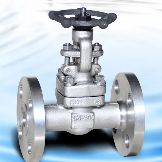 Forged Steel Gate Valve