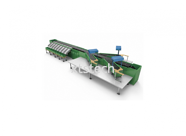 Conveyor for Logistic Hub