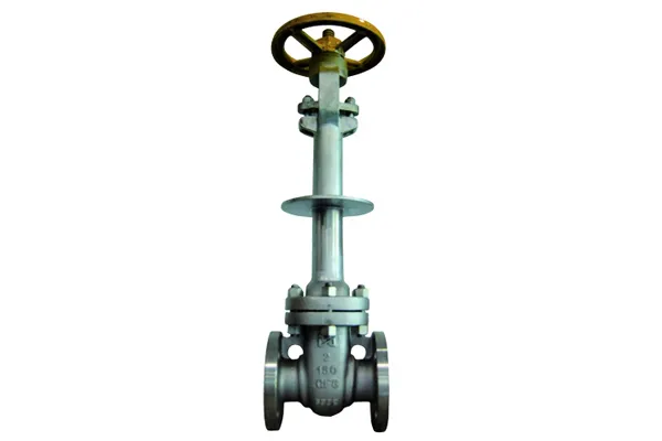 Cryogenic Valves