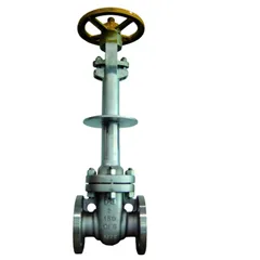 Cryogenic Valves