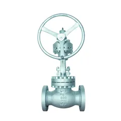 Globe Valves