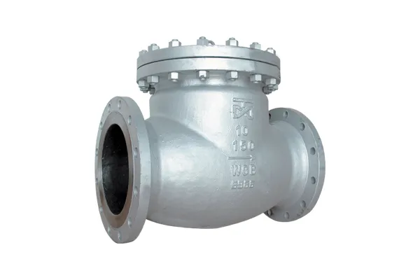 Check Valves