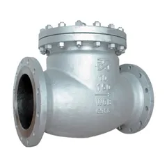 Check Valves