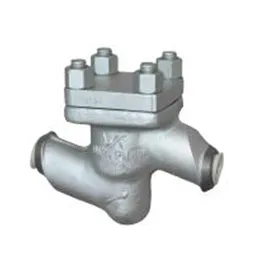 Check Valve Type 564
