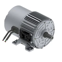 EC Motor WEG